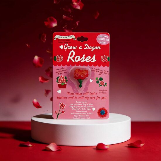 drīzumā.. Izaudzē sarkanu rozi - neparasta maza dāvana